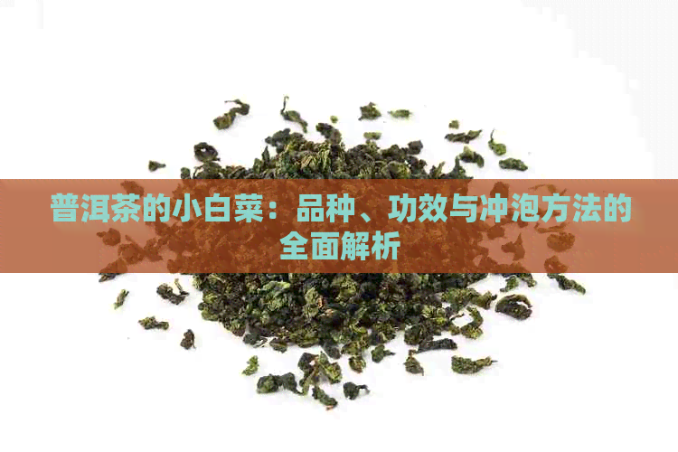 普洱茶的小白菜：品种、功效与冲泡方法的全面解析