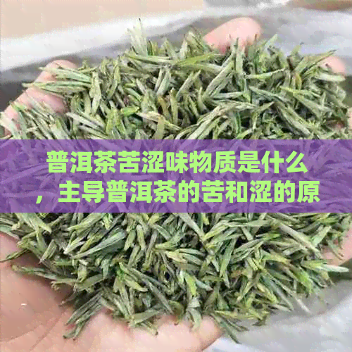 普洱茶苦涩味物质是什么，主导普洱茶的苦和涩的原因及其成分。