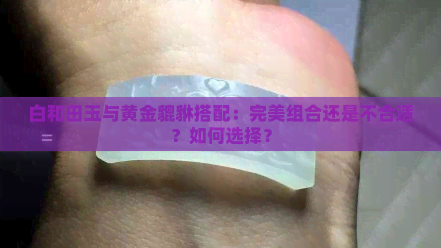 白和田玉与黄金貔貅搭配：完美组合还是不合适？如何选择？