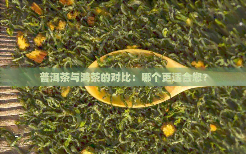 普洱茶与鸿茶的对比：哪个更适合您？