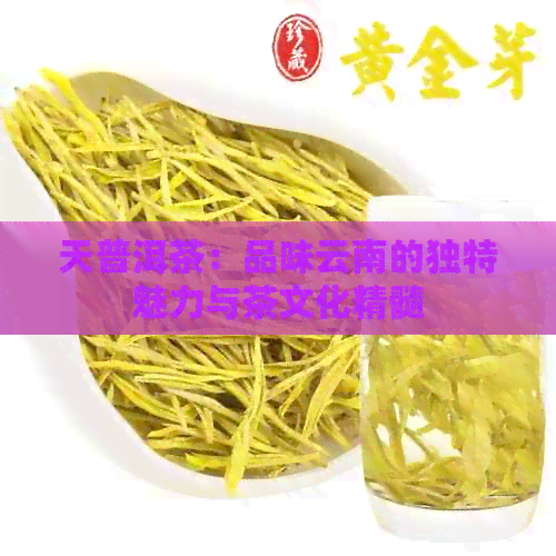 天普洱茶：品味云南的独特魅力与茶文化精髓