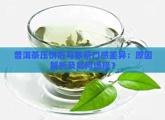 普洱茶压饼后与散茶口感差异：原因解析及如何选择？