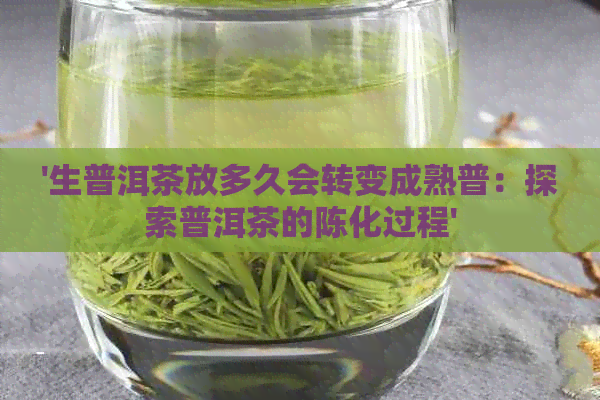 '生普洱茶放多久会转变成熟普：探索普洱茶的陈化过程'