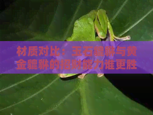 材质对比：玉石貔貅与黄金貔貅的招财能力谁更胜一筹