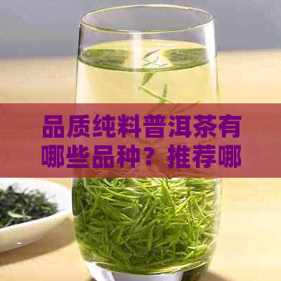 品质纯料普洱茶有哪些品种？推荐哪些品种好？