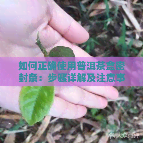 如何正确使用普洱茶盒密封条：步骤详解及注意事项，让你品尝更完美的普洱茶