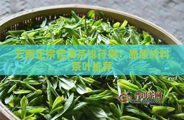 云南正宗普洱茶排行榜：品质纯料茶叶推荐