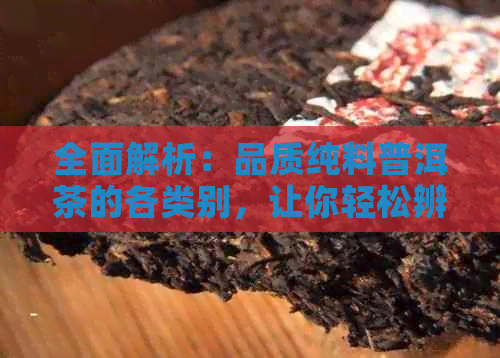 全面解析：品质纯料普洱茶的各类别，让你轻松辨别与选购