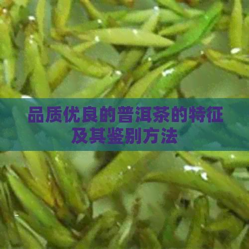 品质优良的普洱茶的特征及其鉴别方法