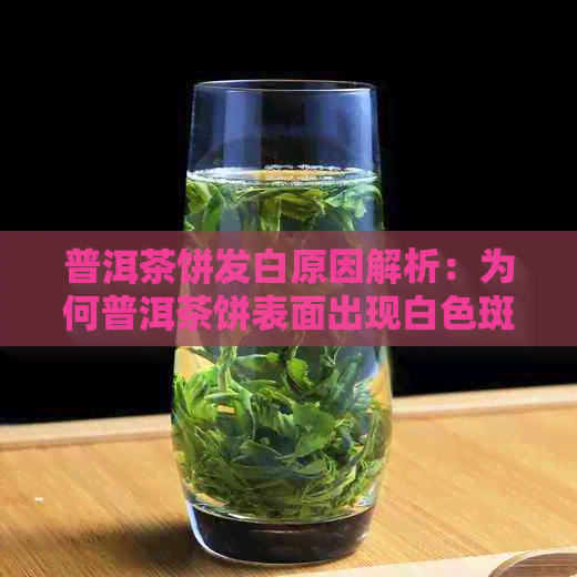 普洱茶饼发白原因解析：为何普洱茶饼表面出现白色斑点？