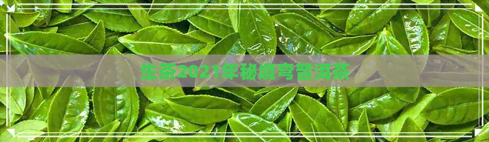 生茶2021年秘境弯普洱茶