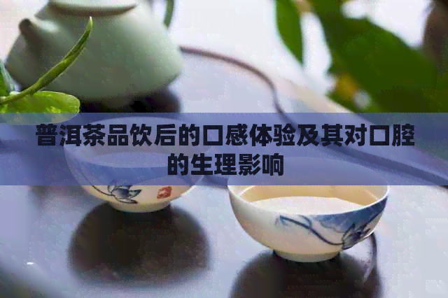 普洱茶品饮后的口感体验及其对口腔的生理影响