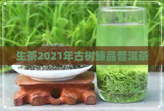 生茶2021年古树臻品普洱茶