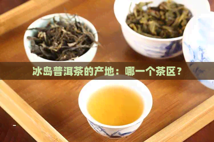 冰岛普洱茶的产地：哪一个茶区？