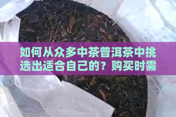 如何从众多中茶普洱茶中挑选出适合自己的？购买时需注意哪些方面？