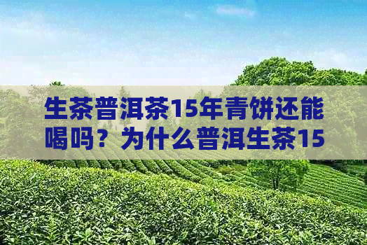 生茶普洱茶15年青饼还能喝吗？为什么普洱生茶15年后仍然可饮用，没有素。