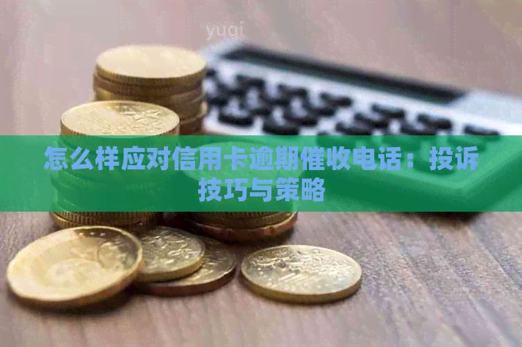 怎么样应对信用卡逾期电话：投诉技巧与策略