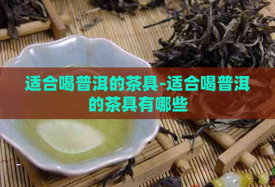 适合喝普洱的茶具-适合喝普洱的茶具有哪些