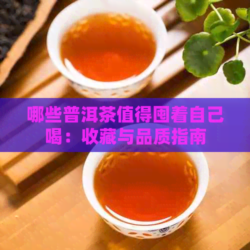 哪些普洱茶值得囤着自己喝：收藏与品质指南