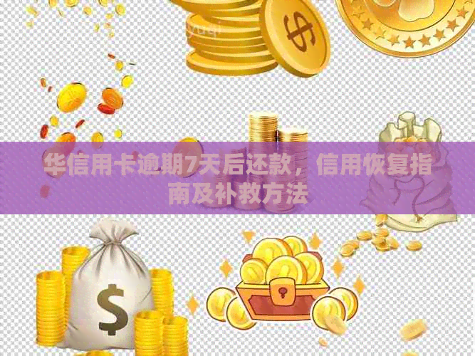 华信用卡逾期7天后还款，信用恢复指南及补救方法