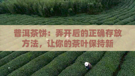 普洱茶饼：弄开后的正确存放方法，让你的茶叶保持新