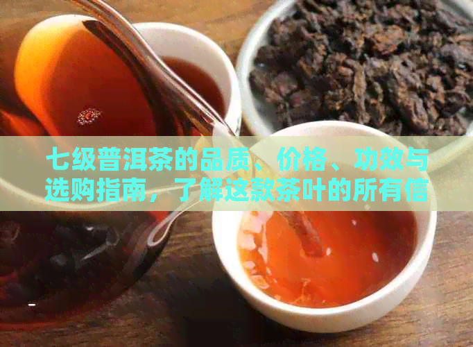 七级普洱茶的品质、价格、功效与选购指南，了解这款茶叶的所有信息