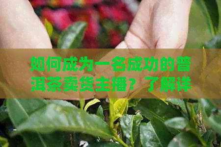 如何成为一名成功的普洱茶卖货主播？了解详细步骤和技巧