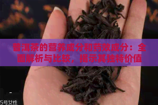 普洱茶的营养成分和药效成分：全面解析与比较，揭示其独特价值。