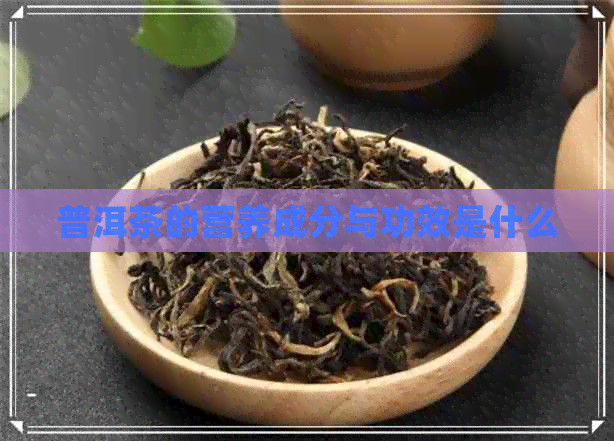 普洱茶的营养成分与功效是什么