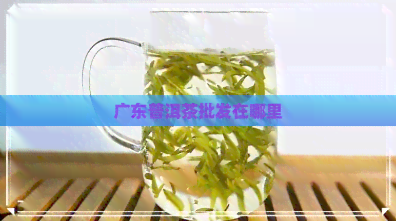 广东普洱茶批发在哪里