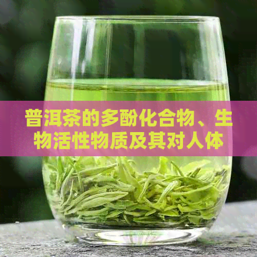 普洱茶的多酚化合物、生物活性物质及其对人体健的综合影响