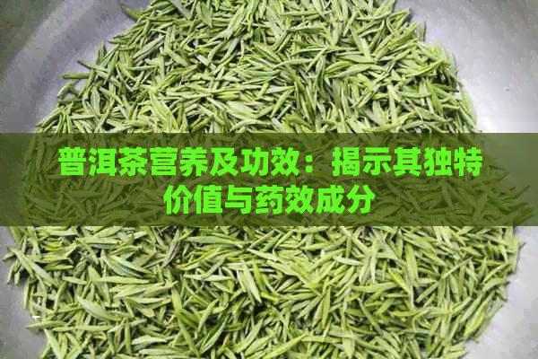 普洱茶营养及功效：揭示其独特价值与药效成分