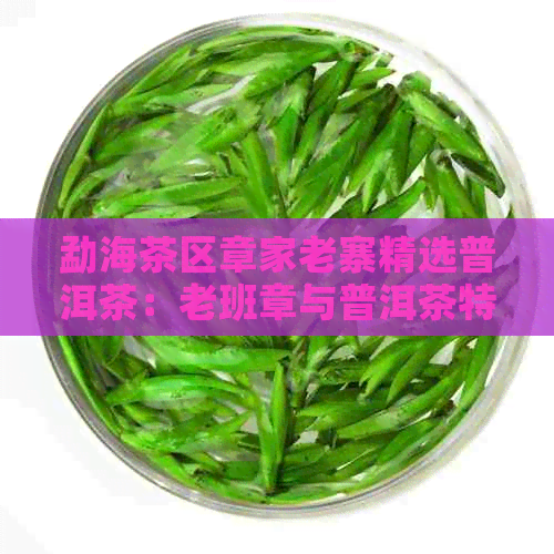 勐海茶区章家老寨精选普洱茶：老班章与普洱茶特点完美融合的品质之选