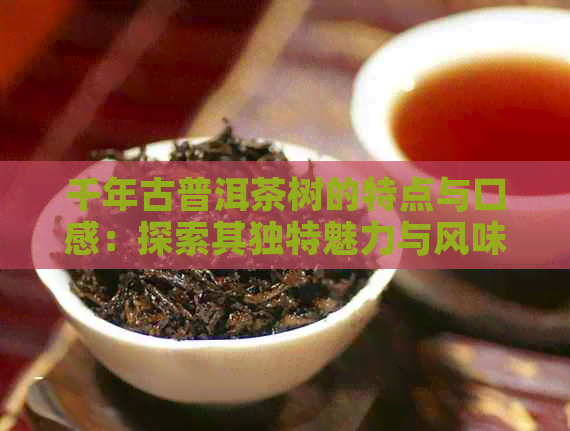 千年古普洱茶树的特点与口感：探索其独特魅力与风味