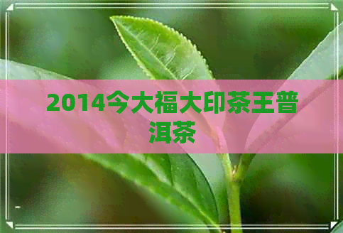 2014今大福大印茶王普洱茶