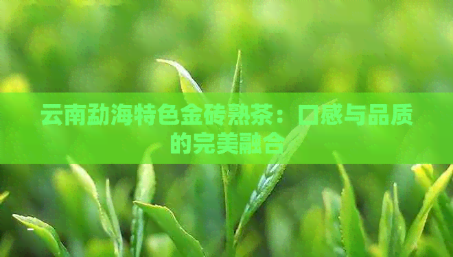 云南勐海特色金砖熟茶：口感与品质的完美融合