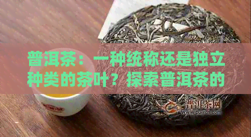 普洱茶：一种统称还是独立种类的茶叶？探索普洱茶的分类与特点