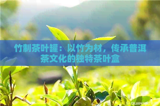 竹制茶叶罐：以竹为材，传承普洱茶文化的独特茶叶盒