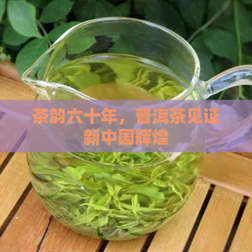 茶韵六十年，普洱茶见证新中国辉煌