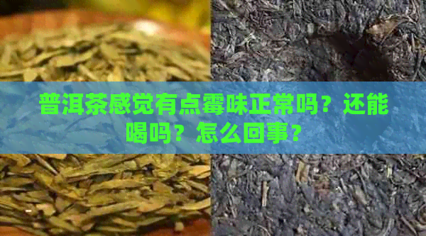 普洱茶感觉有点霉味正常吗？还能喝吗？怎么回事？