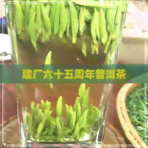 建厂六十五周年普洱茶