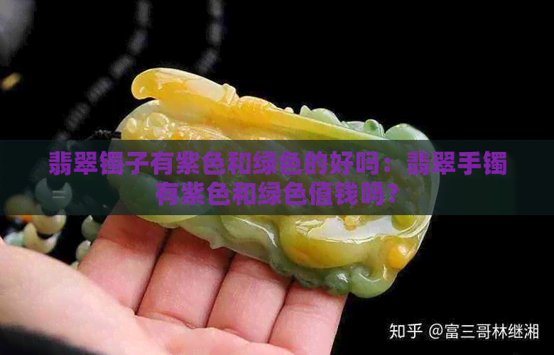 翡翠镯子有紫色和绿色的好吗：翡翠手镯有紫色和绿色值钱吗？