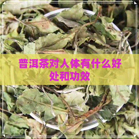 普洱茶对人体有什么好处和功效