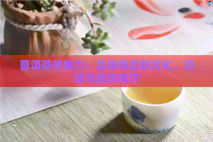 普洱茶的魅力：品味背后的文化、功效与品饮技巧