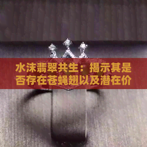 水沫翡翠共生：揭示其是否存在苍蝇翅以及潜在价值