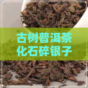 古树普洱茶化石碎银子特级茶叶