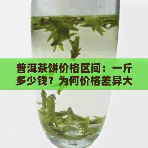 普洱茶饼价格区间：一斤多少钱？为何价格差异大？购买时应注意哪些因素？