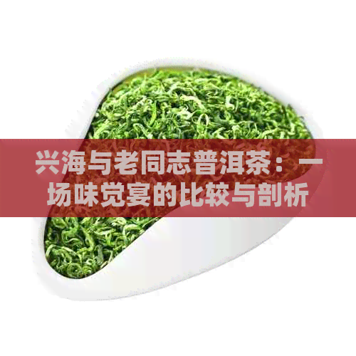 兴海与老同志普洱茶：一场味觉宴的比较与剖析