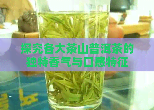 探究各大茶山普洱茶的独特香气与口感特征