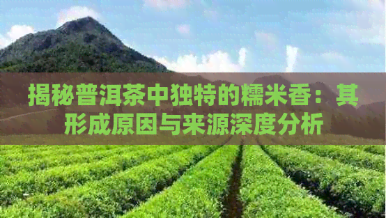 揭秘普洱茶中独特的糯米香：其形成原因与来源深度分析